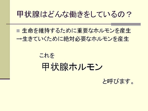 甲状腺はどんな働きをしているの？